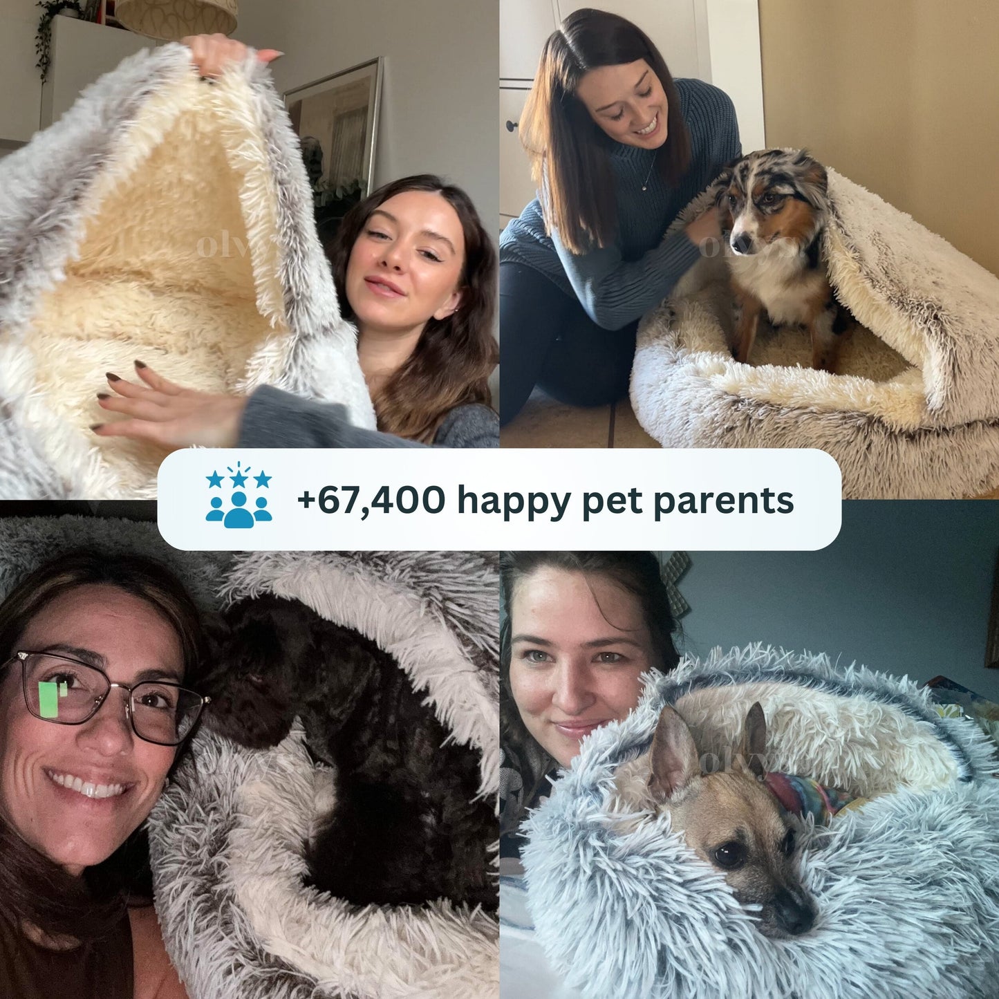 CozyCocoon™ Blanket | pet bed