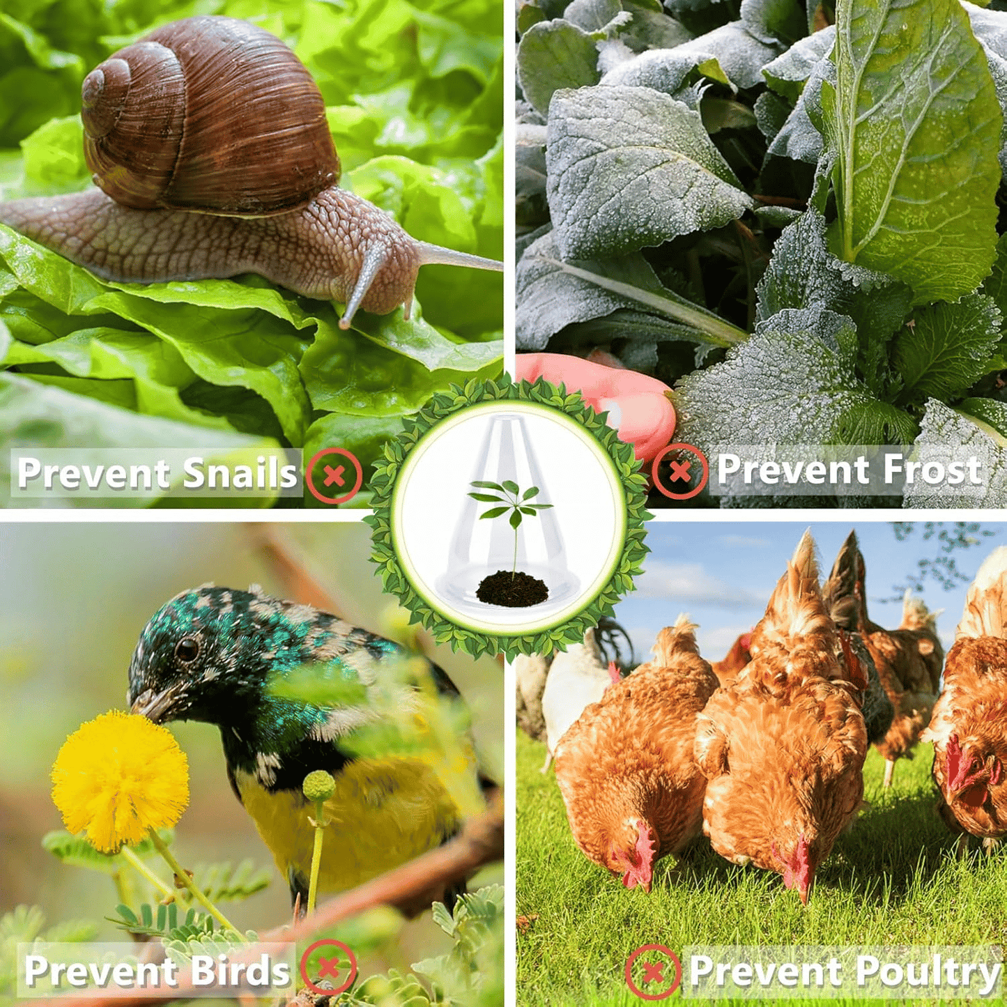🌱Gardening Greenhouse Plant Covers