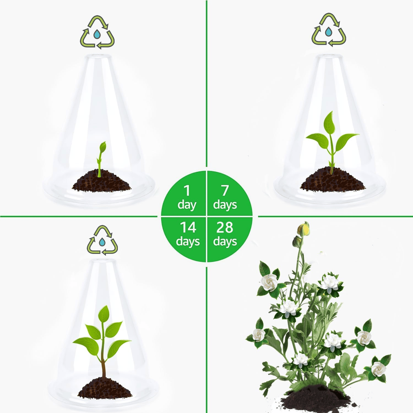 🌱Gardening Greenhouse Plant Covers