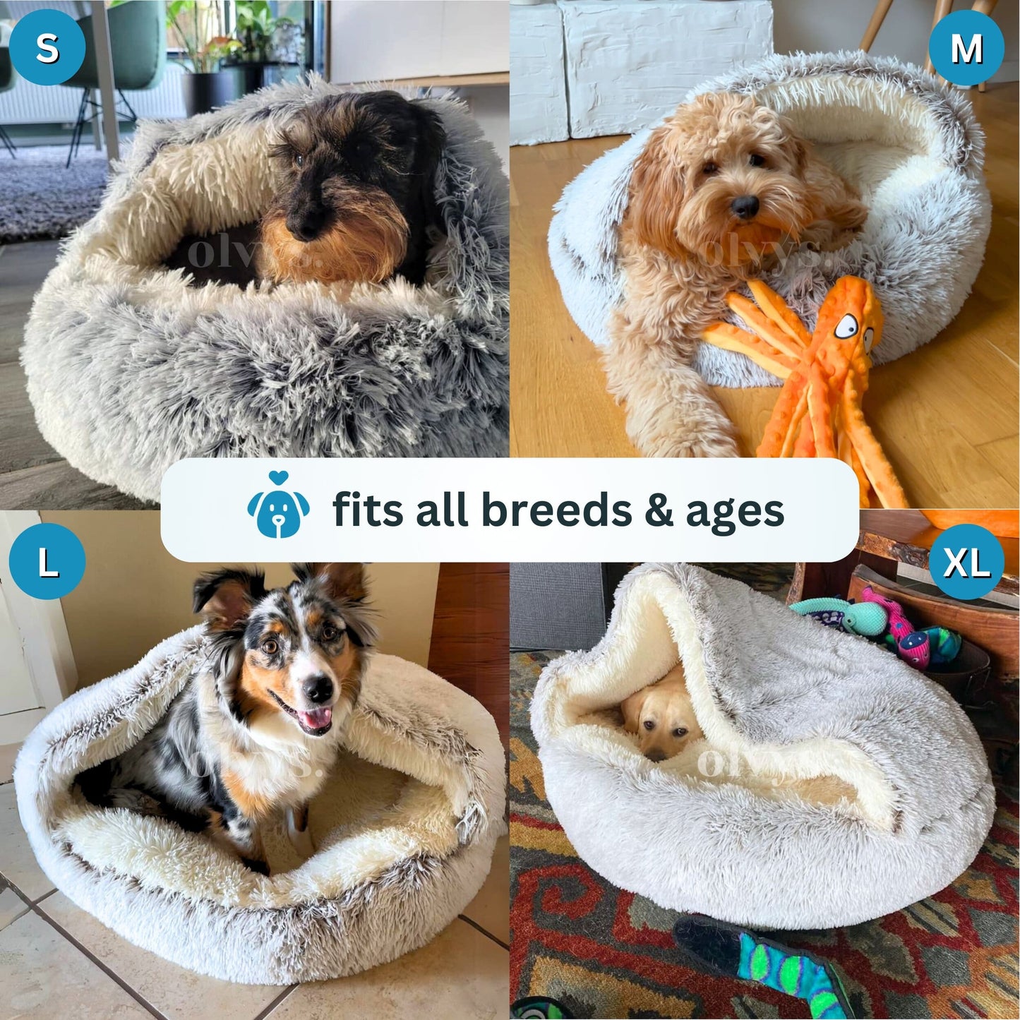 CozyCocoon™ Blanket | pet bed
