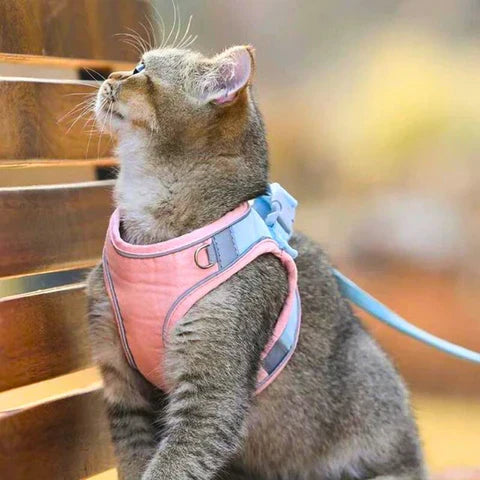 CatHarness™ Comfortable cat harness