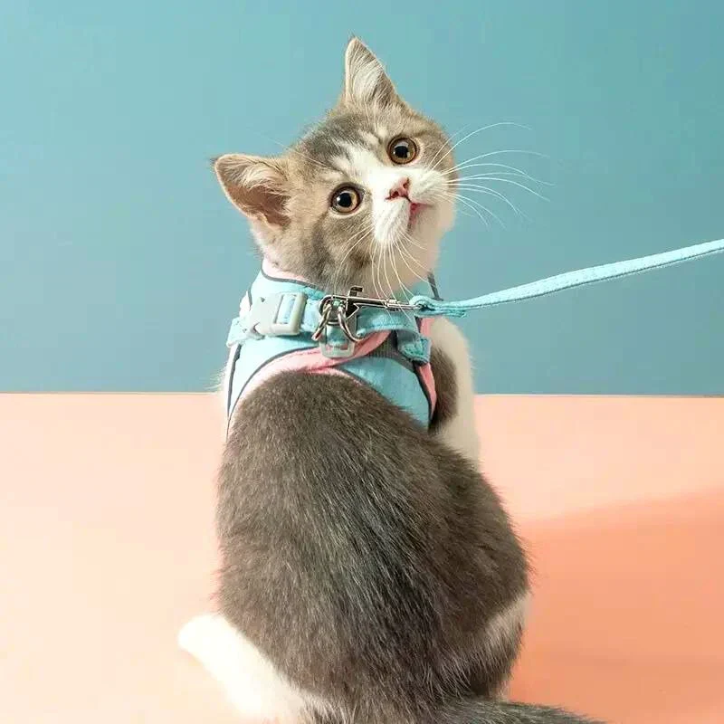 CatHarness™ – Comfortable Cat Harness