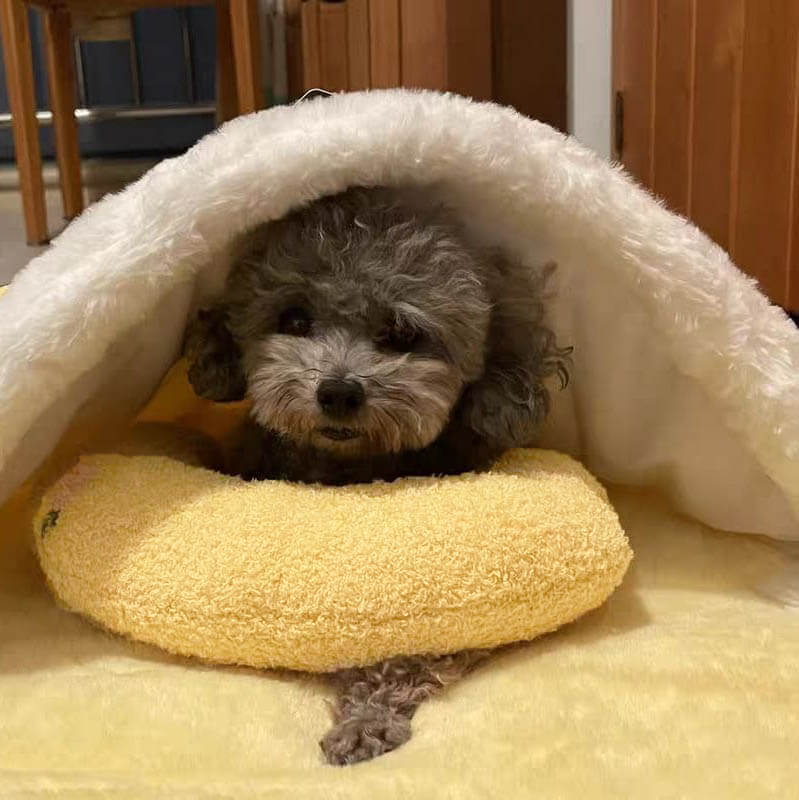 SereniRest™ Calming Pillow