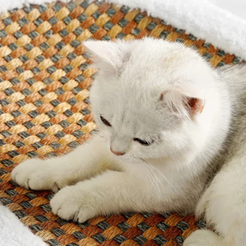 50% off | Cat Scratch Lounge™ - Plush cat bed with scratchable surface