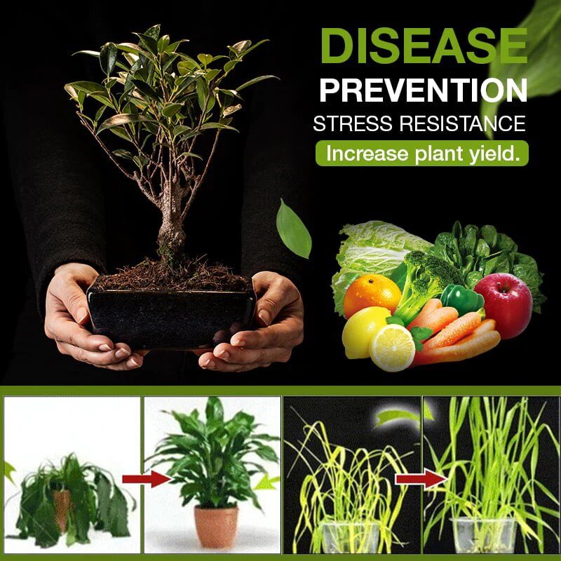 Natural Soil Activator for Your Garden in Just 3 Days