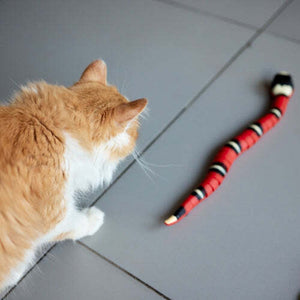 SnakeToy™ - your new, interactive playmate for the cat