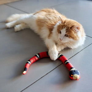 SnakeToy™ - your new, interactive playmate for the cat