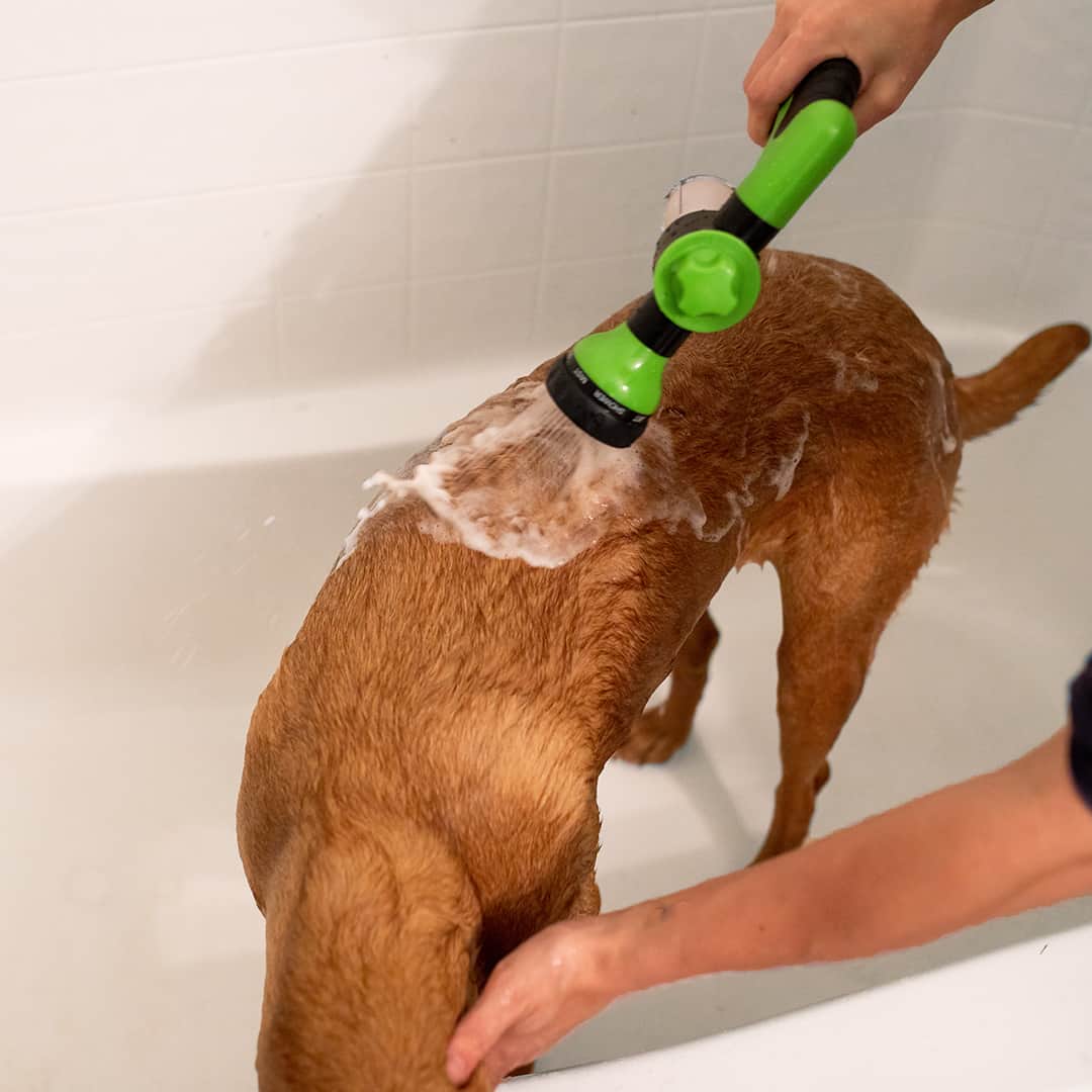 WoofWash™ Pro Jet | Dog Washer Attachment