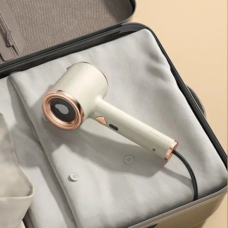 Portable steam iron
