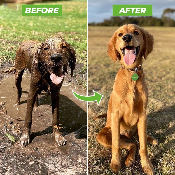 WoofWash™ Pro Jet | Dog Washer Attachment