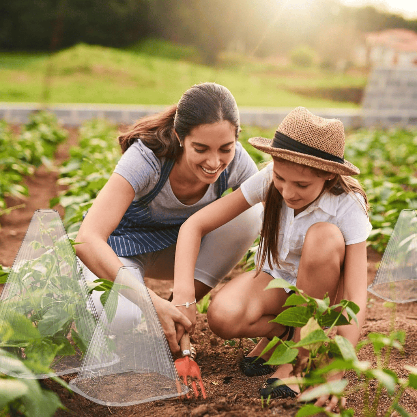 🌱Gardening Greenhouse Plant Covers