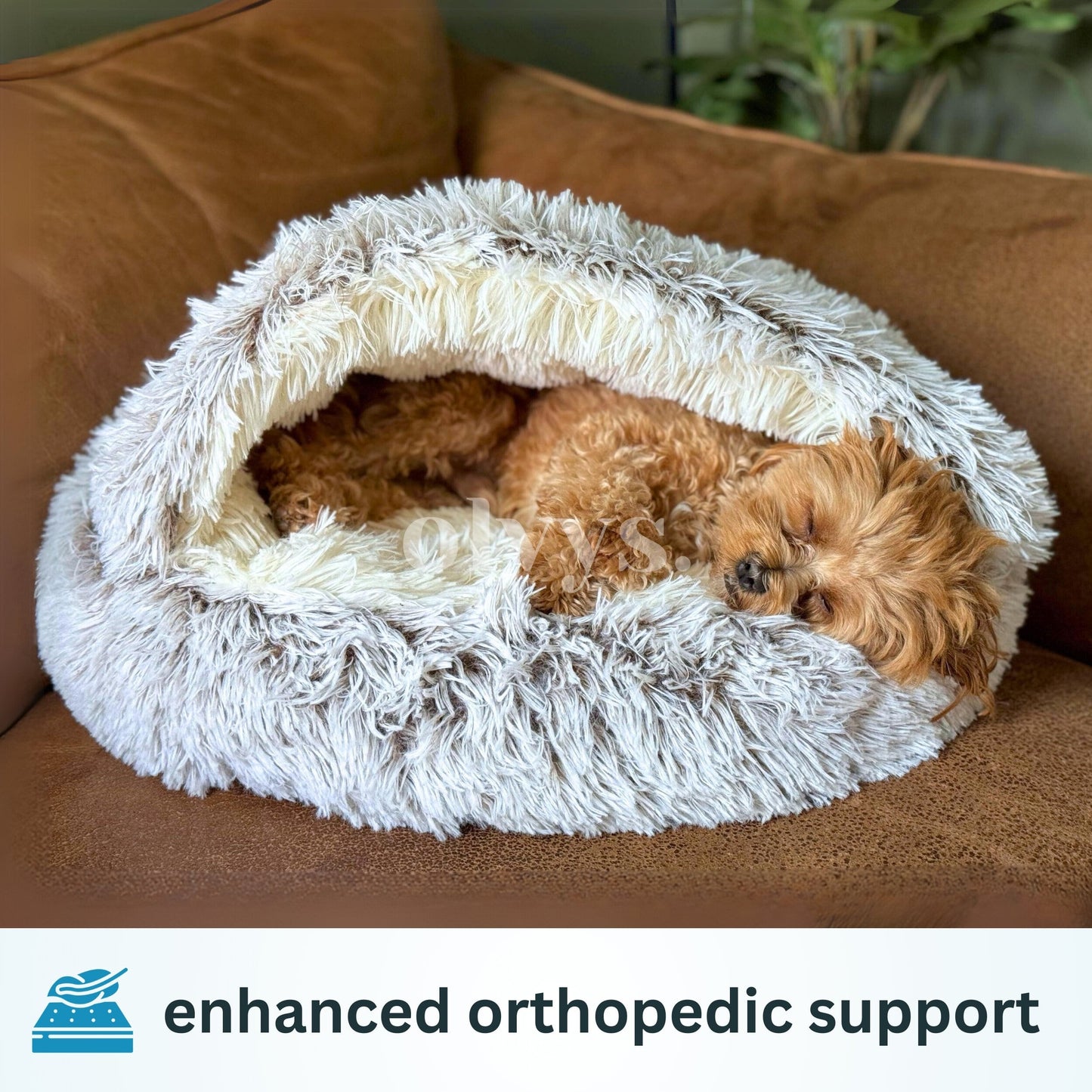 CozyCocoon™ Blanket | pet bed