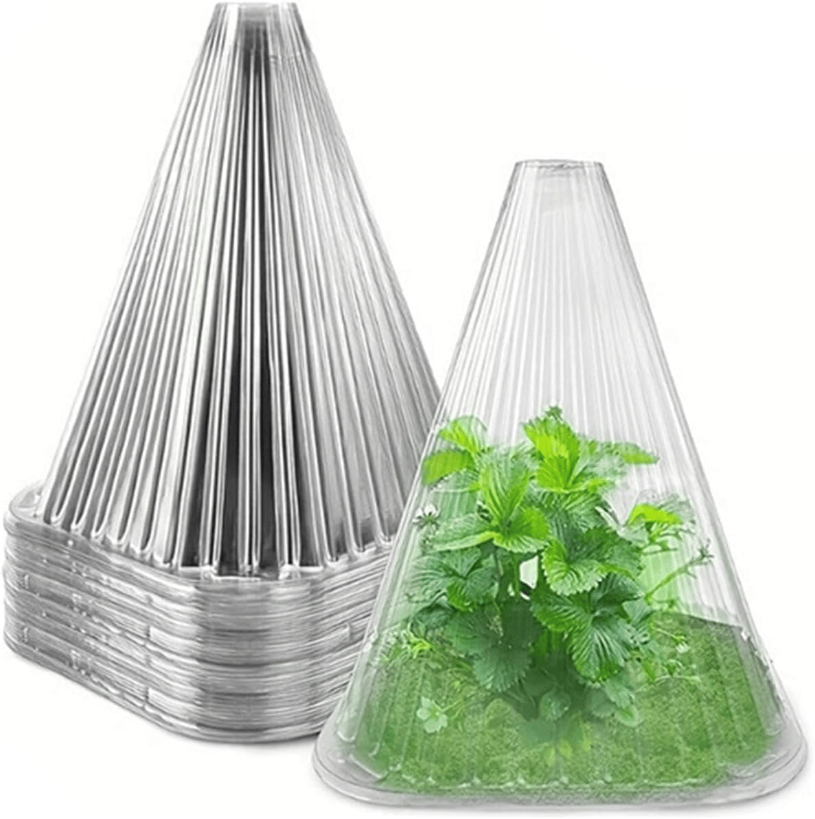 🌱Gardening Greenhouse Plant Covers