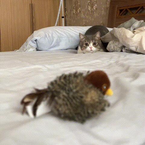 ZoomieBird™ | Cat Bird Toy with Realistic Wings