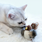 ZoomieBird™ | Cat Bird Toy with Realistic Wings