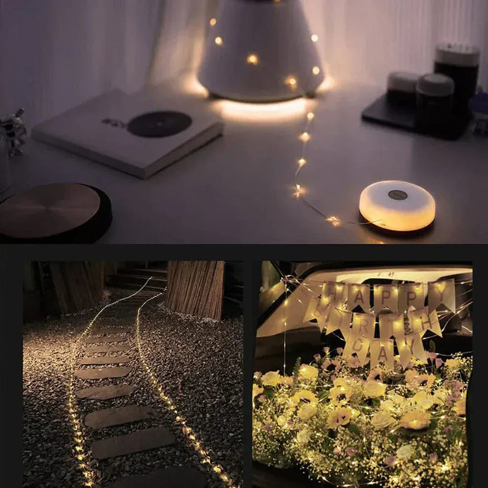 FairyGlow™ Transportable Fairy LED light garland