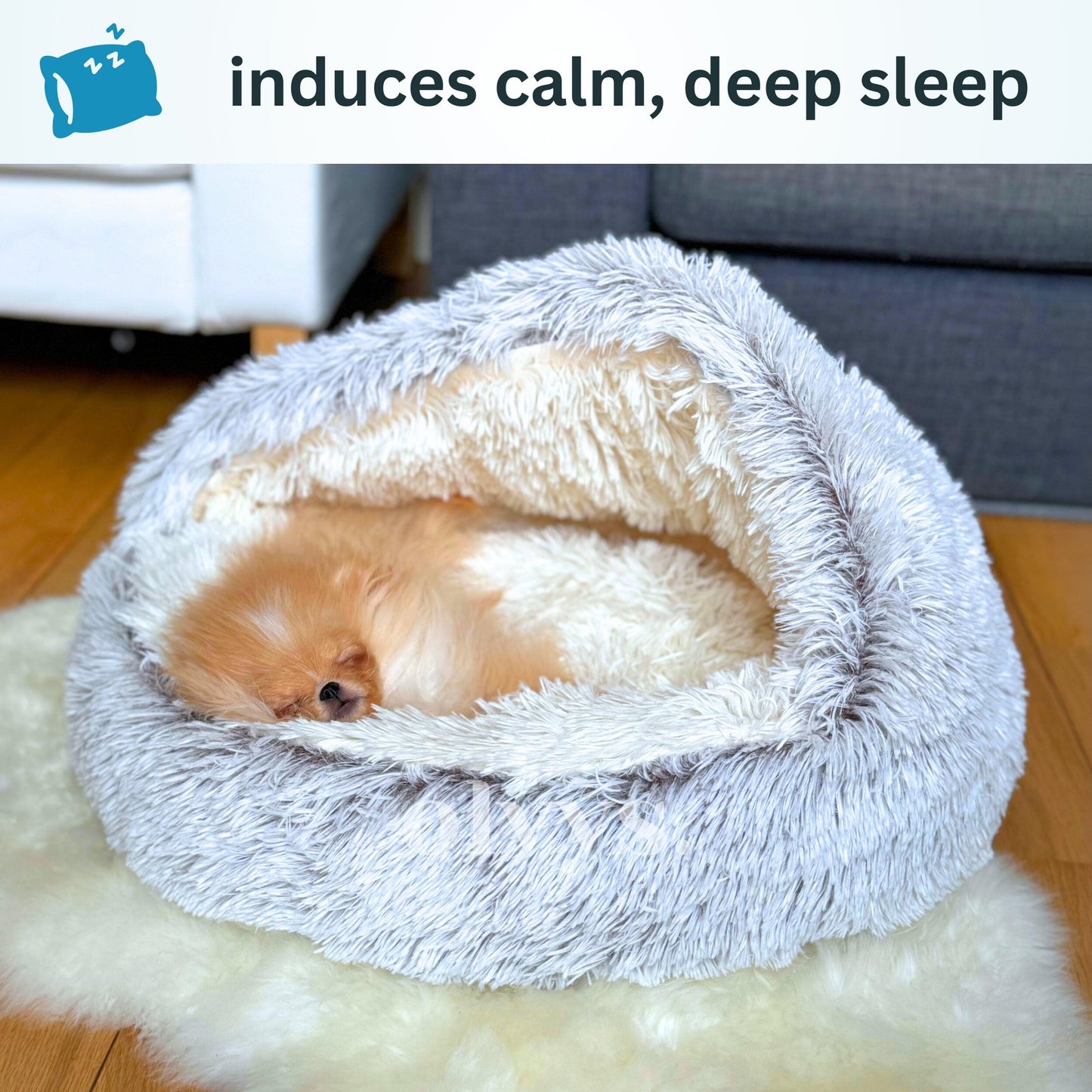 CozyCocoon™ Blanket | pet bed