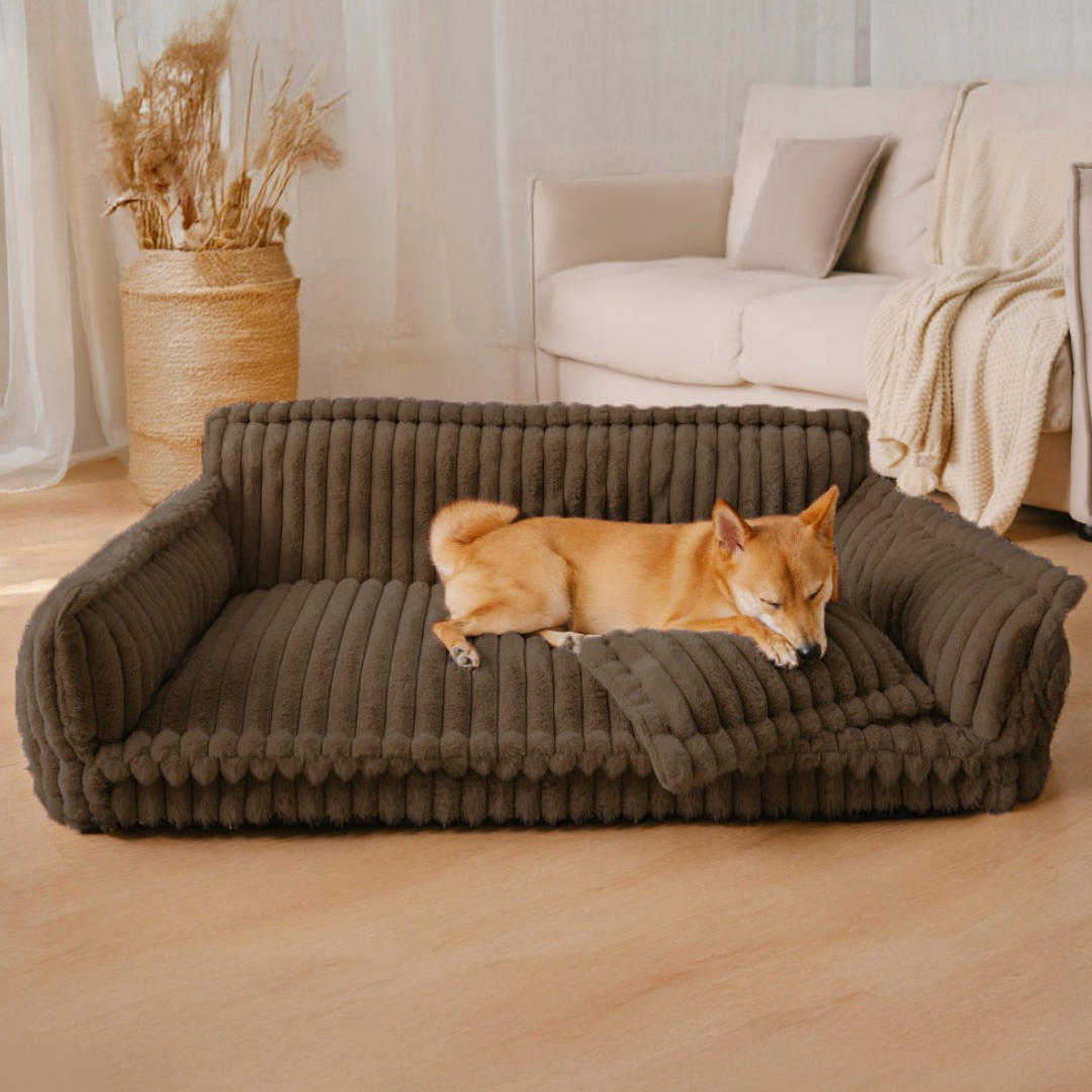 Contemporary Plush Dog Sofa Bed With Neck Support