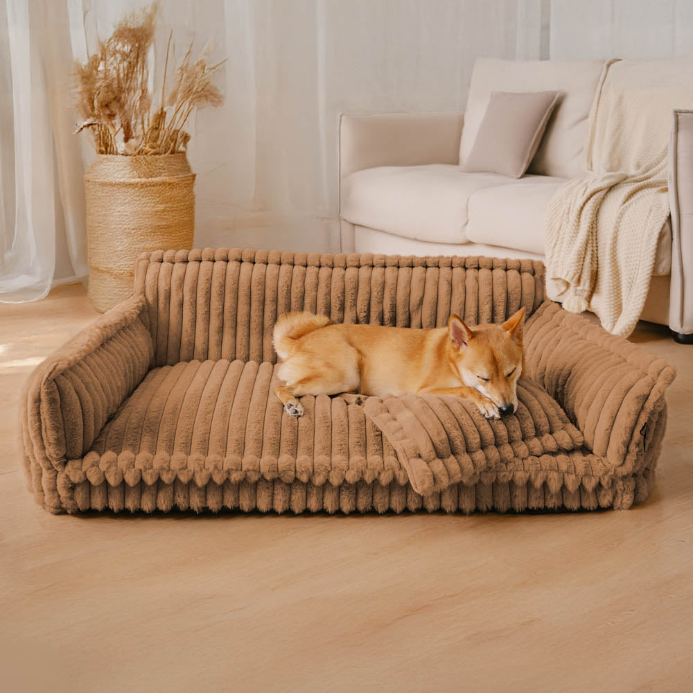 Contemporary Plush Dog Sofa Bed With Neck Support