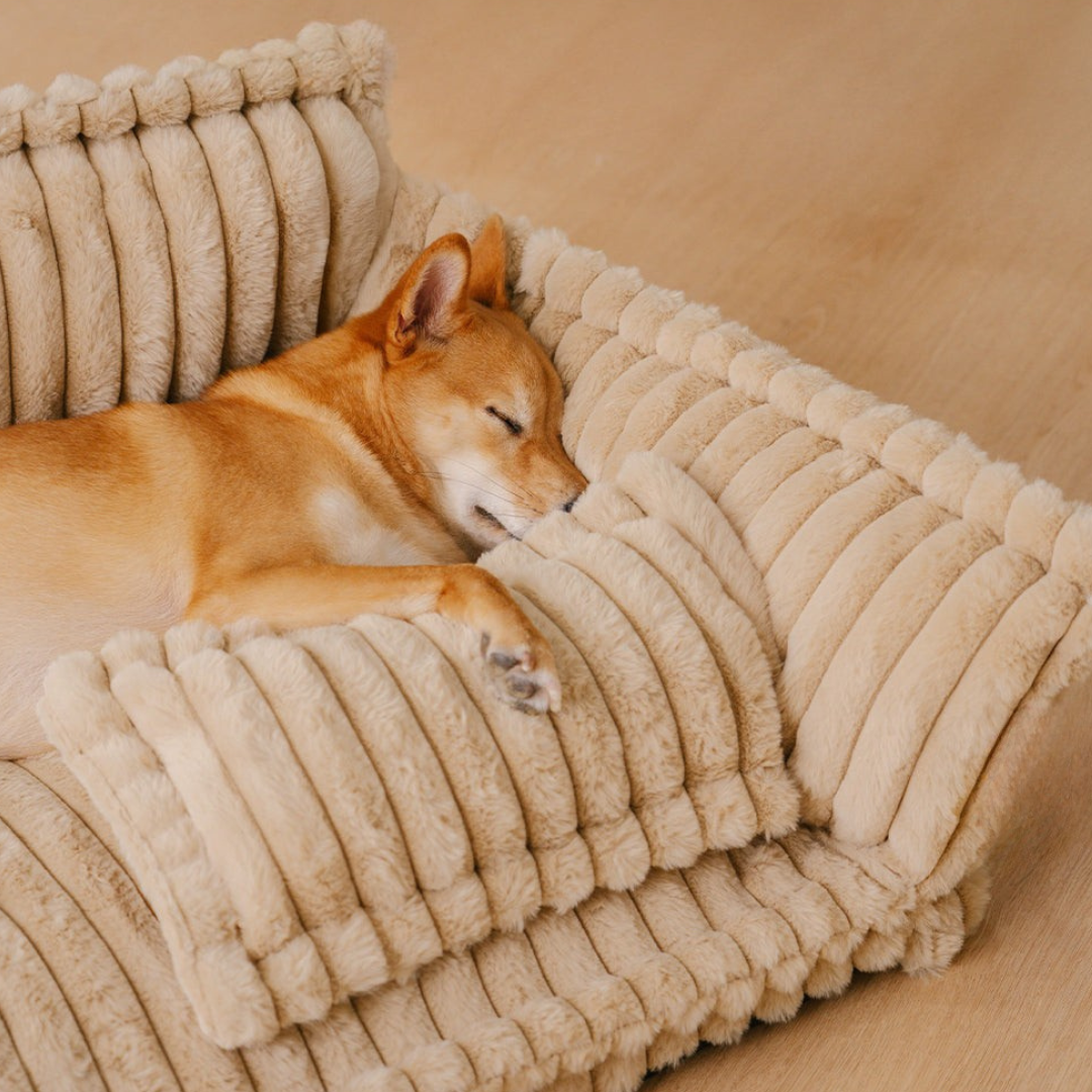 Contemporary Plush Dog Sofa Bed With Neck Support