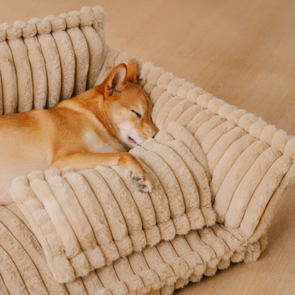 Contemporary Plush Dog Sofa Bed With Neck Support