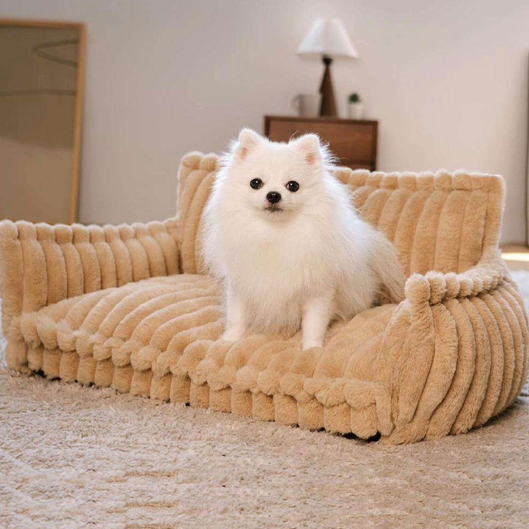 Contemporary Plush Dog Sofa Bed With Neck Support