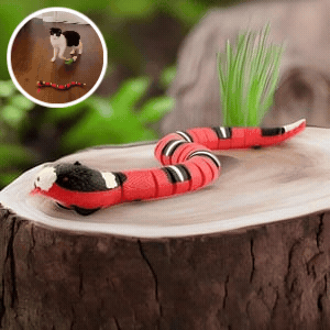 SnakeToy™ - your new, interactive playmate for the cat