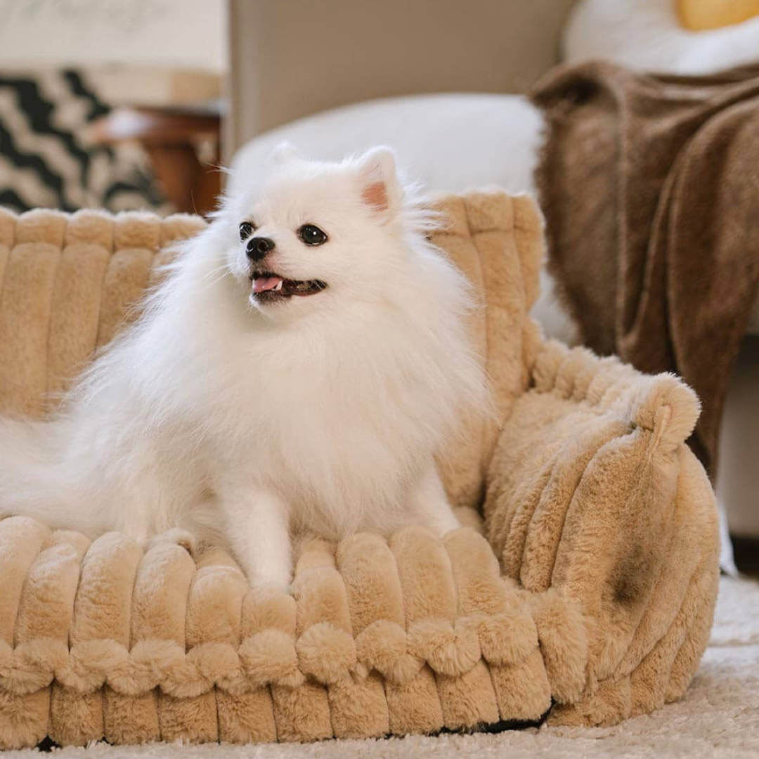 Contemporary Plush Dog Sofa Bed With Neck Support