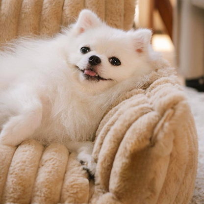 Contemporary Plush Dog Sofa Bed With Neck Support