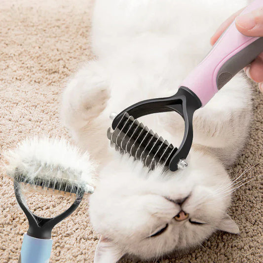 Brush: the ideal accessory for your pet