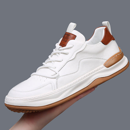 Noble Italiana Leather Sneakers | Genuine Premium Footwear