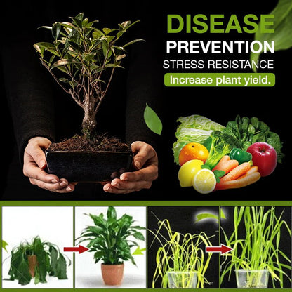 Natural Soil Activator for Your Garden in Just 3 Days