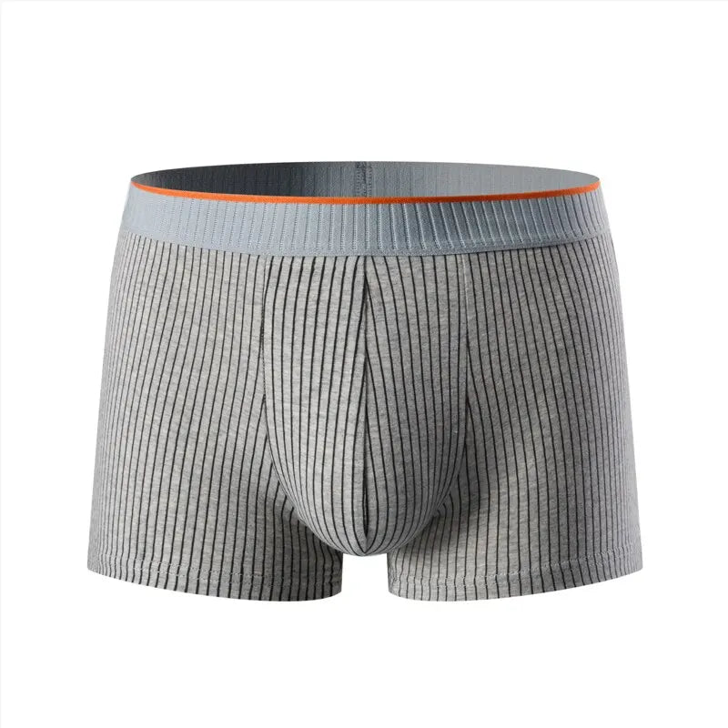 Noah Form-Fitting Striped Boxer Briefs | Ribbed Contrasting Waistband Boxer Briefs