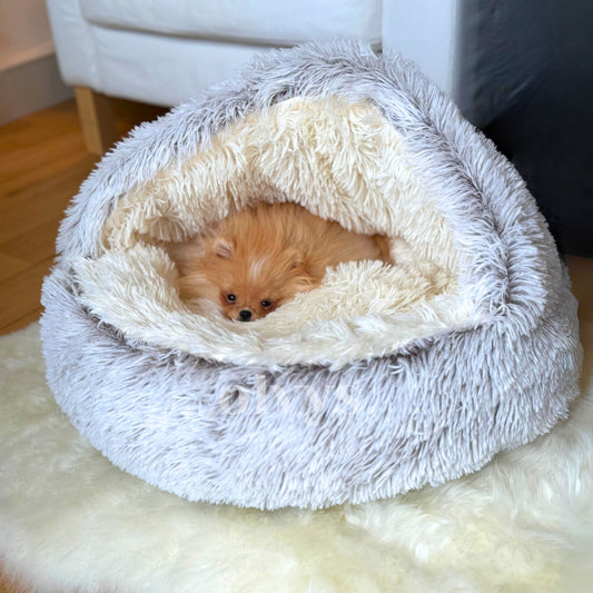 CozyCocoon™ Blanket | pet bed