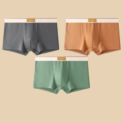Noah Fitted Boxer Briefs Three-Piece Set | Solid Short Boxer Briefs