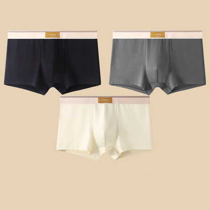 Noah Fitted Boxer Briefs Three-Piece Set | Solid Short Boxer Briefs