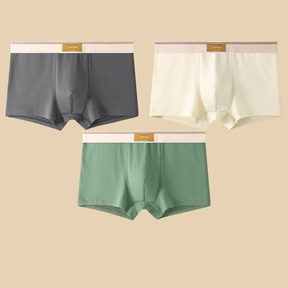 Noah Fitted Boxer Briefs Three-Piece Set | Solid Short Boxer Briefs