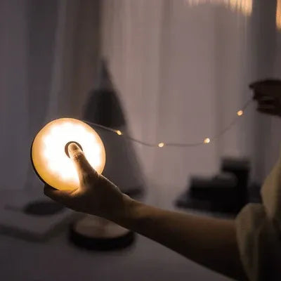 FairyGlow™ Transportable Fairy LED light garland
