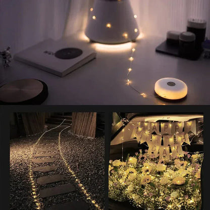 FairyGlow™ Transportable Fairy LED light garland