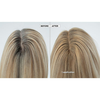 ✨Supersize Color Fibers with Refill Set